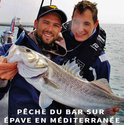 Guide de pêche au bar en Méditerranée